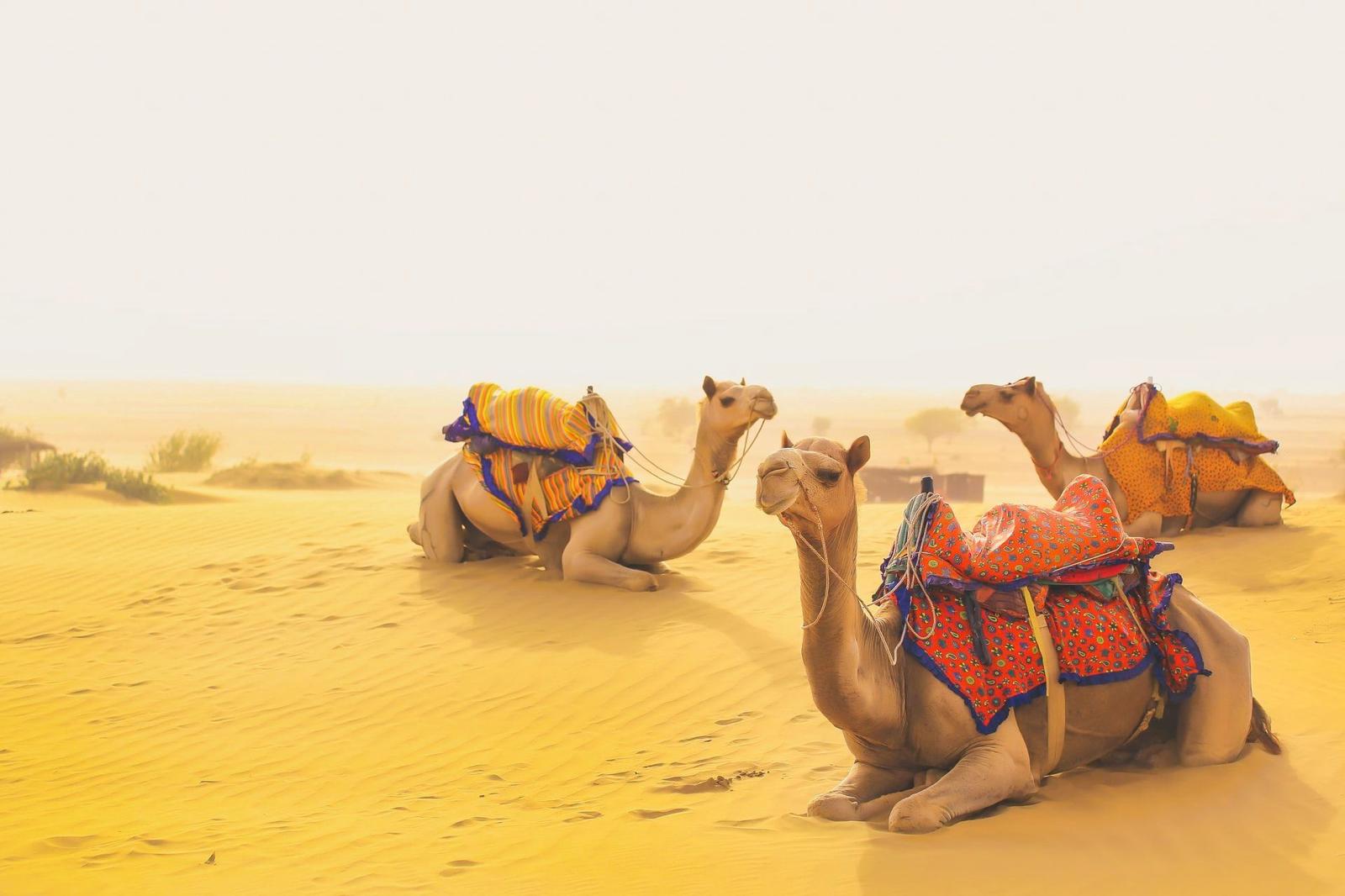 Golden Triangle Tour with Pushkar - Delhi, Agra, Fatehpur Sikri Jaipur Pushkar - 7 Days